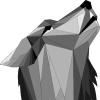 WOLF CONSULTING logo - Similar company to Radiuschat
