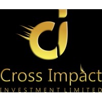 Cross impact investment Limited logo - Similar company to Avn Global Ventures Limited