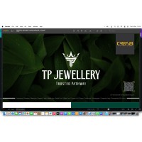 TP Jewellery logo - Similar company to Mineral Innovative Technologies