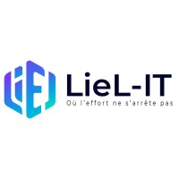 LIEL IT logo - Similar company to Overload Systems