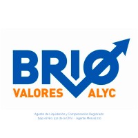 Brio Valores logo - Similar company to Nasini Sa