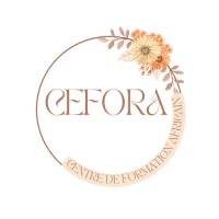 Centre de Formation Africain logo - Similar company to Consortium Pour L’Innovation Et La Création De L’Emplois (Cice)