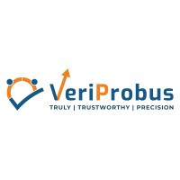 VeriProbus HR Technologies LLP logo - Similar company to Vitsinco Global Consulting Pvt. Ltd.