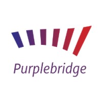 Purple Bridge logo - Similar company to I2Rs