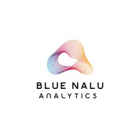 Blue Nalu Analytics logo - Similar company to Amidiv