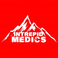INTREPID MEDICS LTD logo - Similar company to Psyche Media Solutions