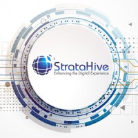 StrataHive logo - Similar company to Bombay Dev