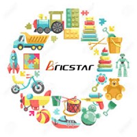 Bricstar logo - Similar company to Blackshire Group