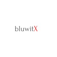 bluwitX logo - Similar company to Dynamic Events India