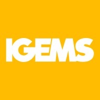 IGEMS logo - Similar company to Linkedclient