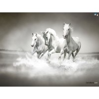 White Horse Company logo - Similar company to White Cloud Enterprises
