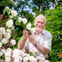 Liss Forest Nursery Ltd logo - Similar company to The Hospice Lottery Partnership