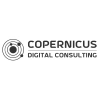 Copernicus Digital Consulting logo - Similar company to Tyarya Limited