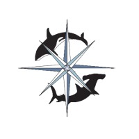 Donald Slavik Family Foundation logo - Similar company to Band Foundation