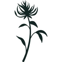 GÜDPHORIA logo - Similar company to Creditsimmo.Lu