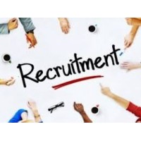 Staffing Villa logo - Similar company to Seewe - Remote Staffing