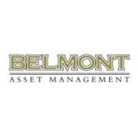 Belmont Asset Management logo - Similar company to Codev Technologies