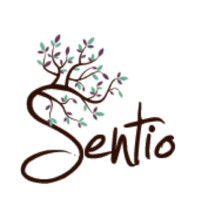 Psychologen en Orthopedagogenpraktijk Sentio logo - Similar company to Mentale Basis