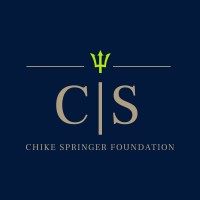 Chike Springer Foundation logo - Similar company to Virtigon - A Metsi Company