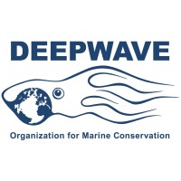 DEEPWAVE e.V.