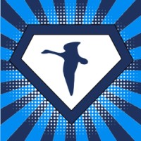 Skylord Travel Plc logo - Similar company to Softcloudtec