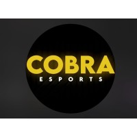 COBRA ESPORTS logo - Similar company to Globgrid Fashion Hub Pvt Ltd