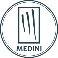 Medini Technologies logo - Similar company to Firstspace