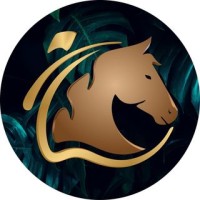 Abalkhail jewelry logo - Similar company to حُلي | Jewelry
