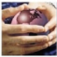 Kaden Consulting Inc logo - Similar company to Mpn Global Gaming