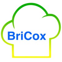 BriCox logo - Similar company to Yojo
