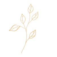Conviviabule logo - Similar company to Decolab.Ch