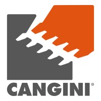 Cangini Benne logo - Similar company to Ideanova Solutions