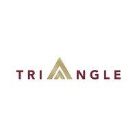 Triangle DeCon Services, Inc. logo - Similar company to Gis Analytic Solutions, Llc