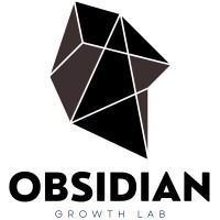 Obsidian Growth Lab logo - Similar company to Water-Bio