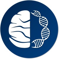AgenT logo - Similar company to Neroes