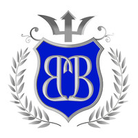 Blu Blood logo - Similar company to Techrescue Llc.