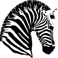 Striped Horse Resources logo - Similar company to Metatek