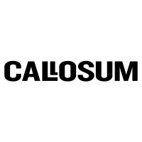 Callosum logo - Similar company to Callosum.Dev