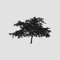 Blackstone Search logo - Similar company to Software Consultancy Ltd