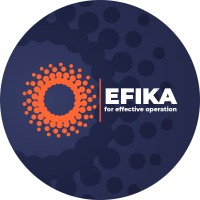 EFIKA logo - Similar company to Praxilabs