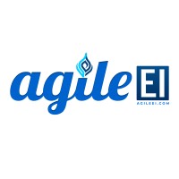 AgileEI logo - Similar company to Xecofy