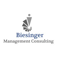 Biesinger Management Consulting logo - Similar company to Prius Consulting