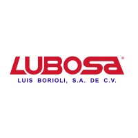 Luis Borioli SA de CV (LUBOSA) logo - Similar company to Flujo