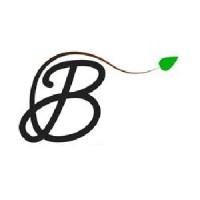 Branch Social logo - Similar company to Ericsson Automobile