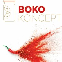 Boko Koncept logo - Similar company to Optika