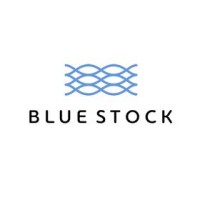 Bluestock logo - Similar company to Bluestock Advisors