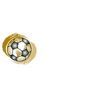 WORLD FOOTBALL COLLECTION Ltd. logo - Similar company to Clean Service S.P.A.