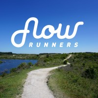Flowrunners.nl logo - Similar company to Buro Jung