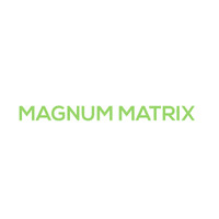 Magnum Matrix logo - Similar company to Weunknown