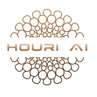 Houri AI logo - Similar company to Deeplab